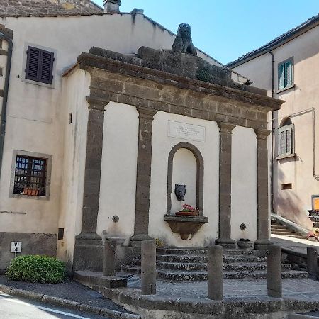 Apartament Agora Montecatini Val di Cecina Zewnętrze zdjęcie